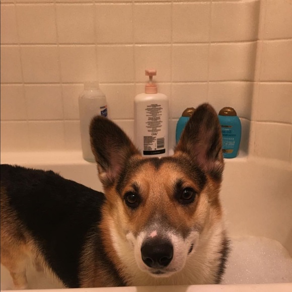 Meet your Posher, Jaclyn - Picture 2 of 2